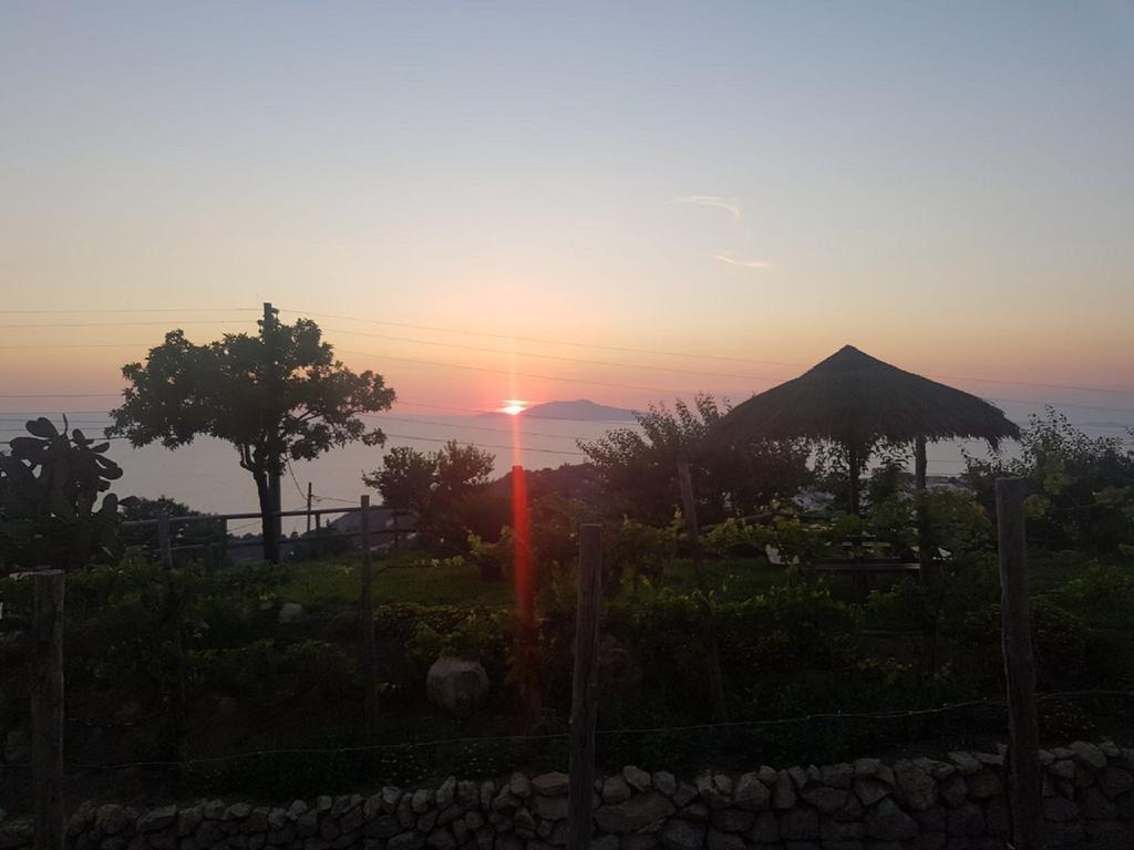 Agriturismo Del Sole Anacapri (Isola di Capri) Exterior foto