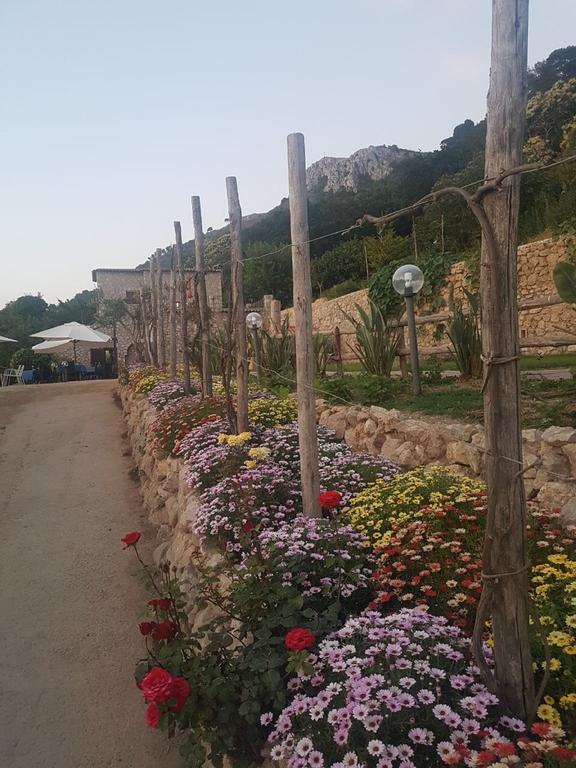 Agriturismo Del Sole Anacapri (Isola di Capri) Exterior foto