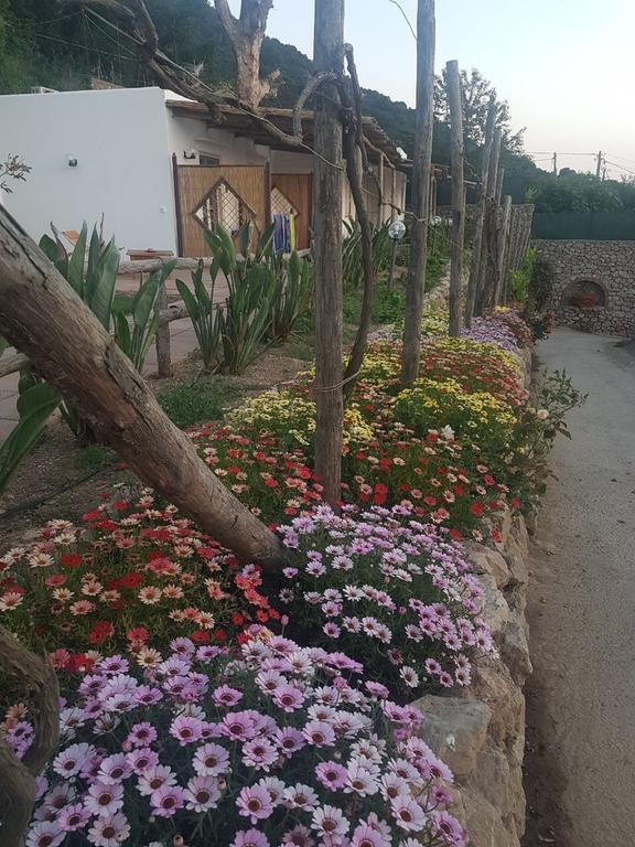 Agriturismo Del Sole Anacapri (Isola di Capri) Exterior foto