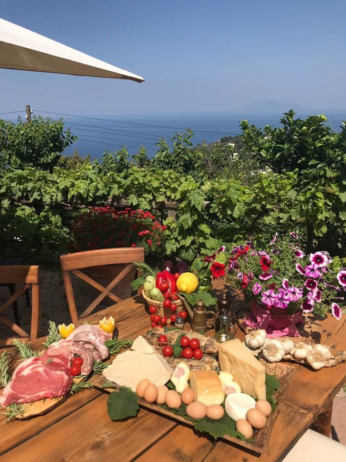 Agriturismo Del Sole Anacapri (Isola di Capri) Exterior foto