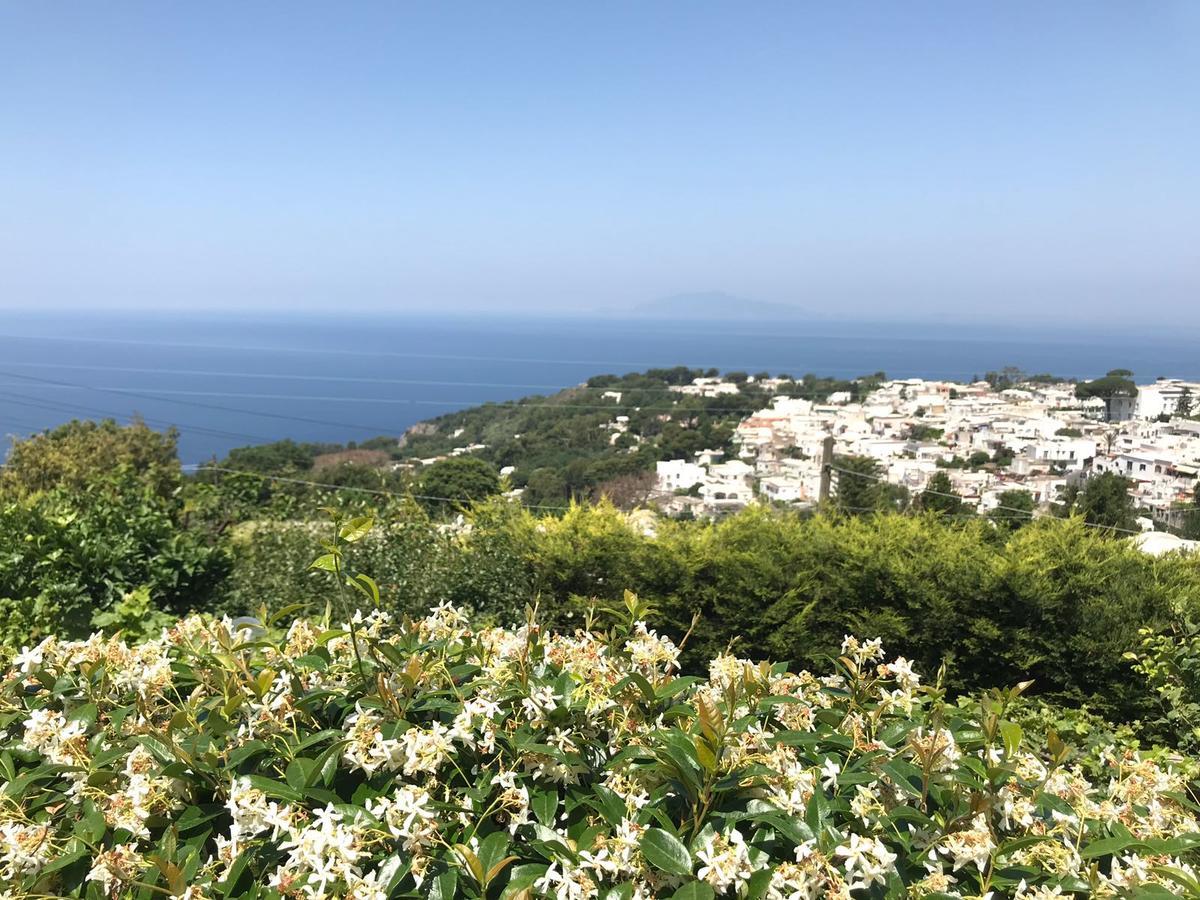Agriturismo Del Sole Anacapri (Isola di Capri) Exterior foto
